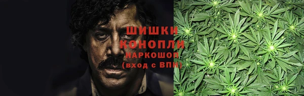 дмт Алзамай