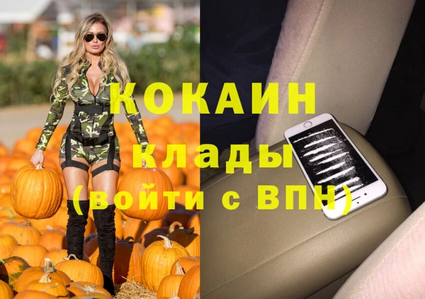 винт Алексин