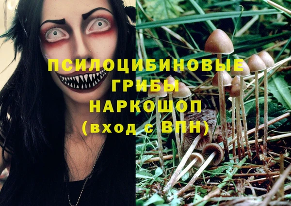 винт Алексин