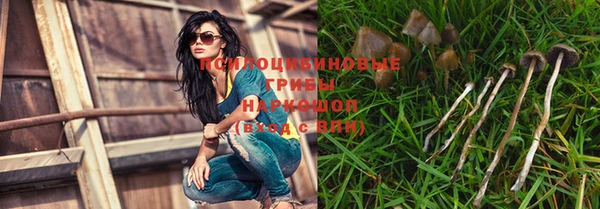 MDMA Алексеевка