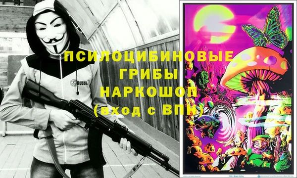 дмт Алзамай