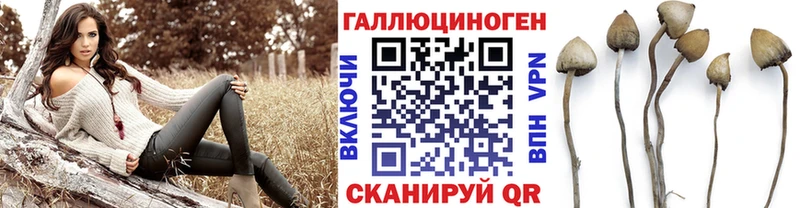 Псилоцибиновые грибы Psilocybine cubensis как найти наркотики OMG зеркало Звенигово
