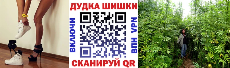 Марихуана конопля  Звенигово 